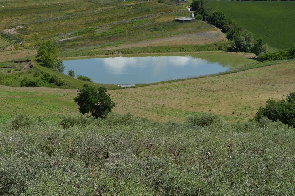 B&B La Casa Fra Gli Olivi Marsciano Dış mekan fotoğraf